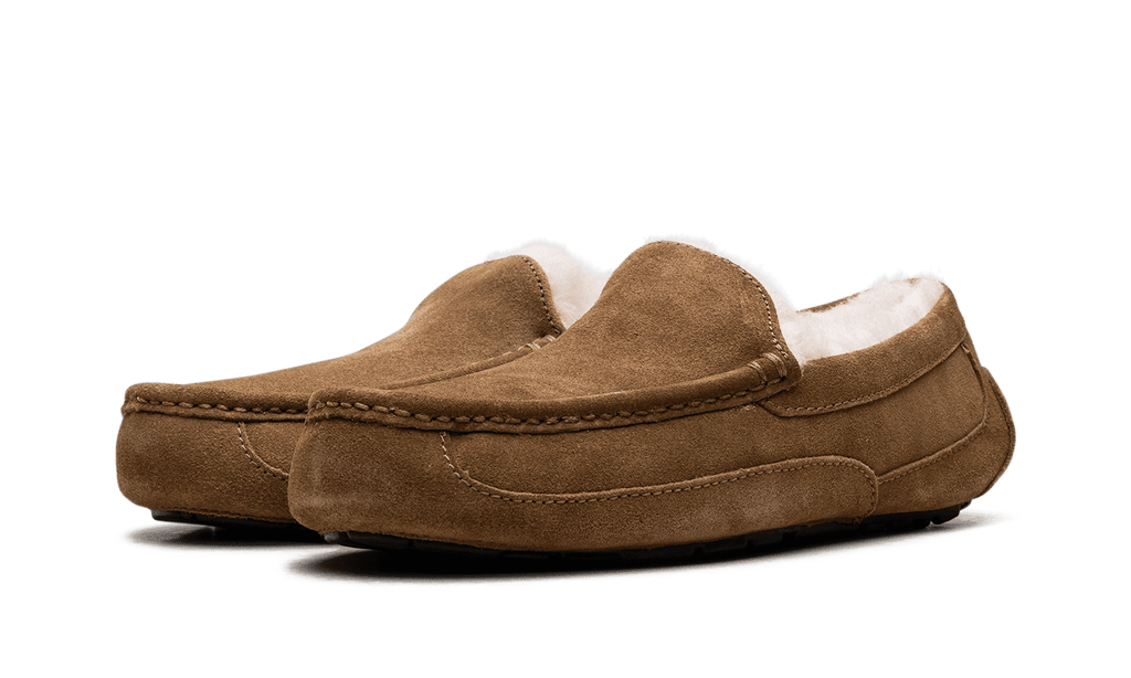 UGG MENS Australia Ascot Moccasin 1101110 CHE 1101110 CHE from Stadium Goods