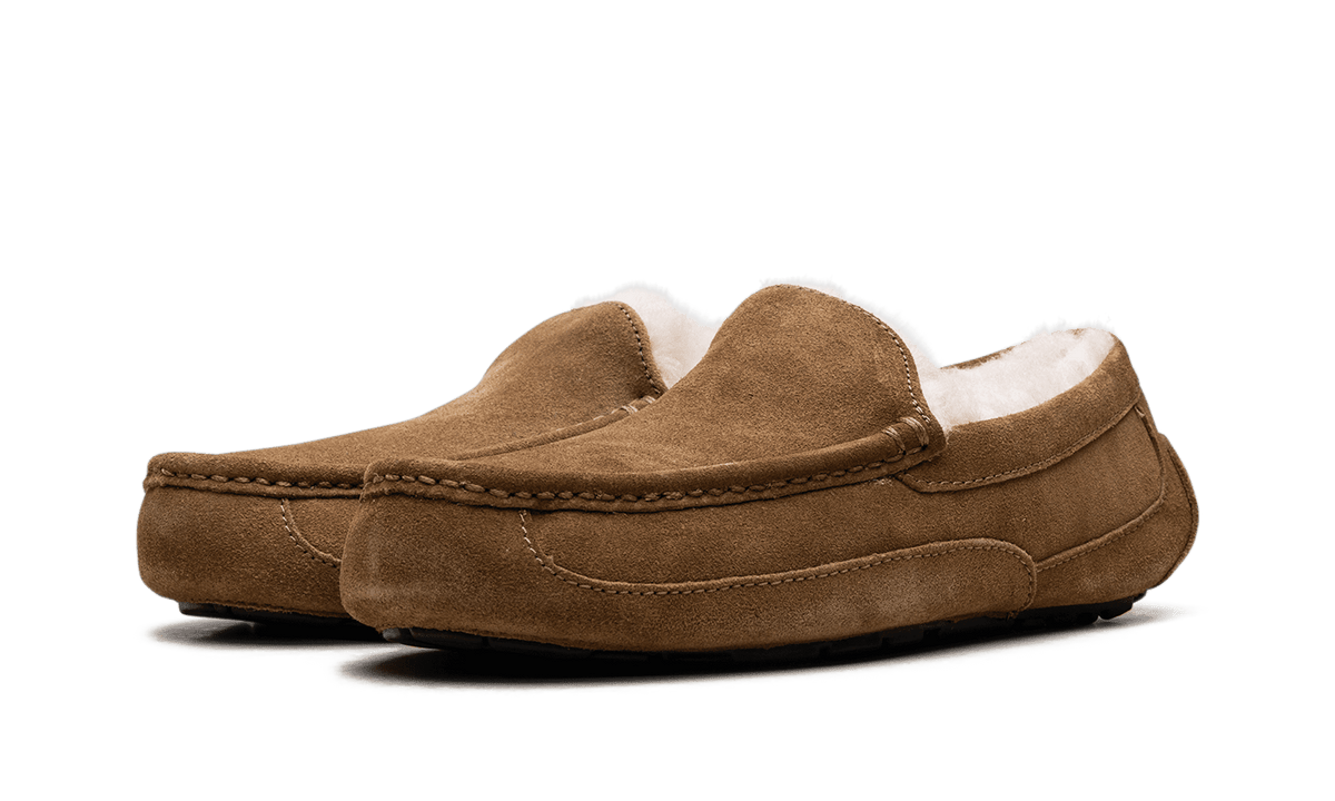 UGG MENS Australia Ascot Moccasin 1101110 CHE 1101110 CHE from Stadium Goods