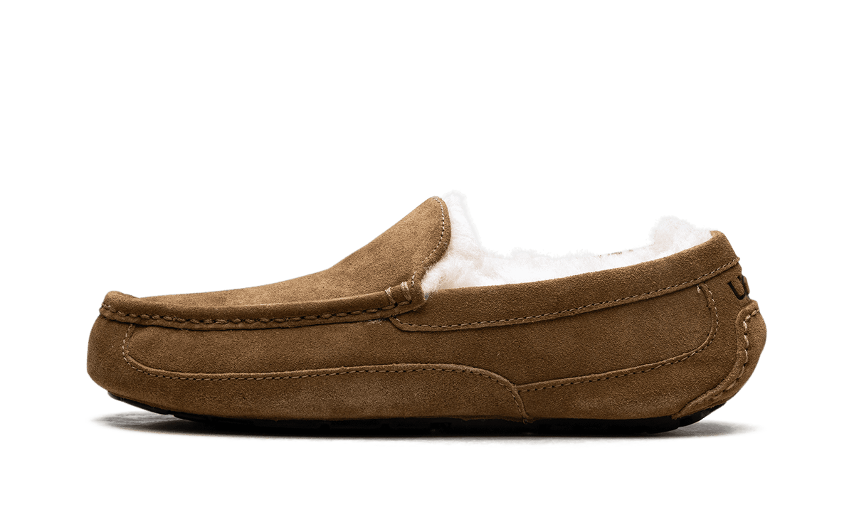 UGG MENS Australia Ascot Moccasin 1101110 CHE 1101110 CHE from Stadium Goods