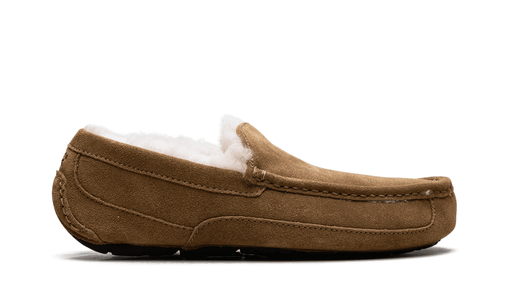 UGG MENS Australia Ascot Moccasin 1101110 CHE 1101110 CHE from Stadium Goods